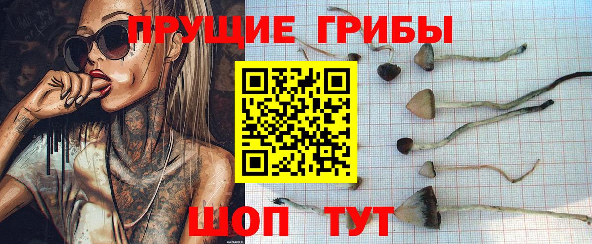 Псилоцибиновые грибы ЛСД  купить закладку  Черкесск  Вход с VPN 